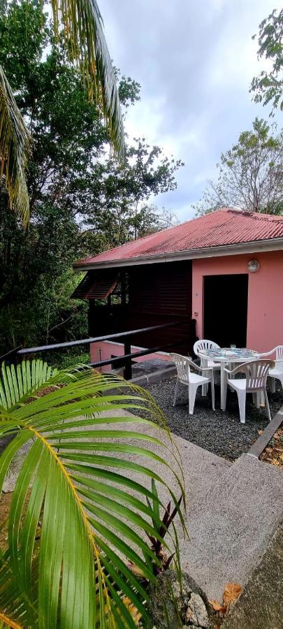 Bungalow Et Duplex De Island Bay Villa Bouillante Eksteriør billede