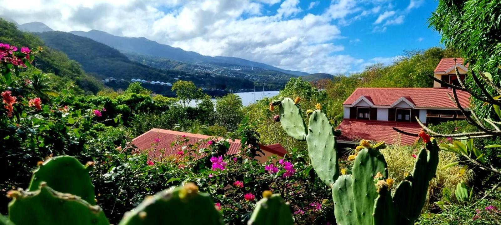 Bungalow Et Duplex De Island Bay Villa Bouillante Eksteriør billede